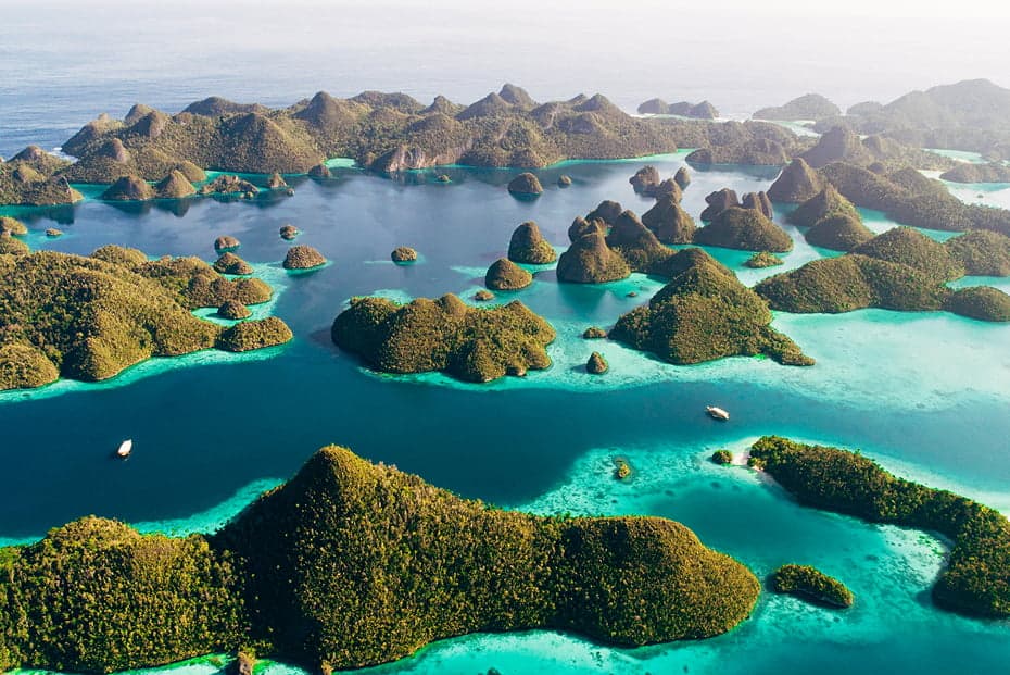 true-indonesia